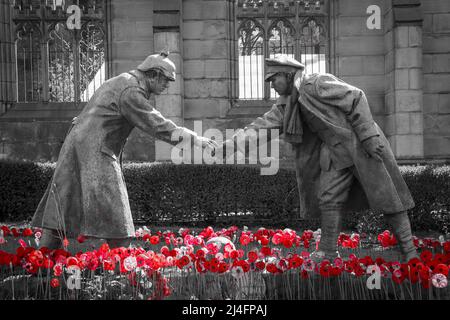 Mémorial de la Seconde Guerre mondiale, jour de l'armistice, Poppies rouges, St. Luke bombardé l'église, Liverpool Banque D'Images