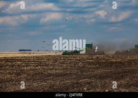 Campagne de semis de printemps. Tracteurs cultivant le sol. Dépoussiérez les nuages et les oiseaux sur le terrain. Ciel bleu, nuages Banque D'Images