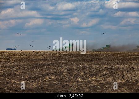 Tracteurs cultivant le sol avec des charrues. Dépoussiérez les nuages et les oiseaux sur le terrain. Ciel bleu, nuages. Campagne de semis de printemps. Banque D'Images