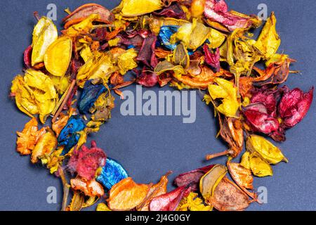 Différentes couleurs de fleurs et de feuilles de plantes sur fond bleu. Les feuilles sont disposées en couronne. Banque D'Images