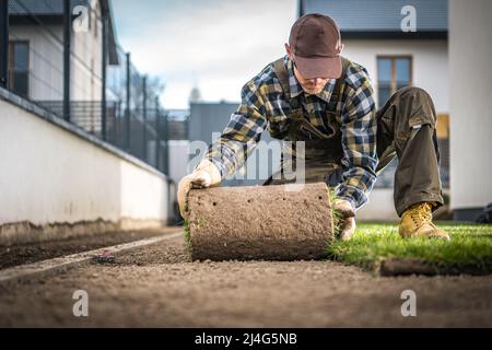 Paysagiste caucasien professionnel dans son 40s installation de gazon naturel gazon d'un rouleau. Thème de l'industrie du jardinage et de l'aménagement paysager. Banque D'Images