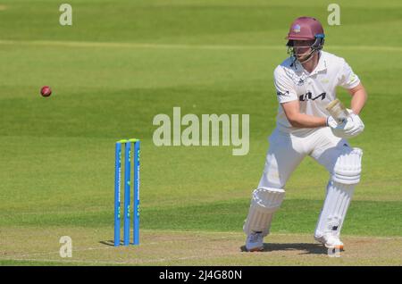 Londres, Royaume-Uni. 15 avril 2022. Wvolonté Jacks de Surrey battant tandis que Surrey prend le Hampshire dans le County Championship au Kia Oval, deuxième jour. David Rowe/Alay Live News Banque D'Images