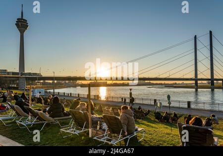 Promenade du Rhin, plage de la ville, prés du Rhin, rive du Rhin à la vieille ville de Düsseldorf, tour du Rhin, pont du genou du Rhin, NRW, Allemagne, Banque D'Images