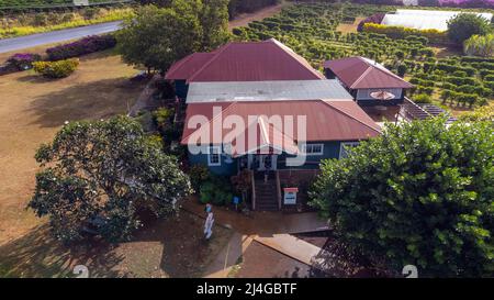 Kauaʻi Coffee Company, Kauai, Hawaï Banque D'Images