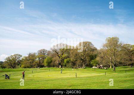 Les golfeurs pourront faire une partie de golf sur le parc public, le Westwood, flanqué d'arbres boisés sur le Westwood le matin du printemps. Banque D'Images