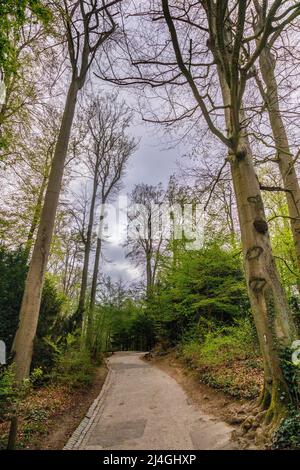 Parc animalier dans la forêt de Grafenberg Banque D'Images