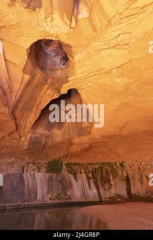 Formations de grès Golden Cathedral, Neon Canyon, Glen Canyon National Recreation Area, Garfield County, Utah, États-Unis Banque D'Images