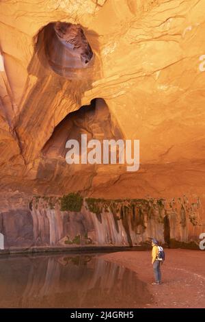 Randonneur dans les formations de grès de la Golden Cathedral, Neon Canyon, Glen Canyon National Recreation Area, Garfield County, Utah, États-Unis Banque D'Images