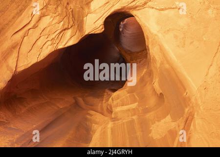 Formations de grès Golden Cathedral, Neon Canyon, Glen Canyon National Recreation Area, Garfield County, Utah, États-Unis Banque D'Images