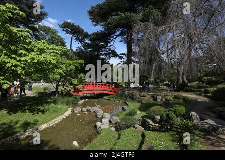 LE MUSÉE ET LES JARDINS ALBERT-KHAN ROUVRENT À BOULOGNE Banque D'Images