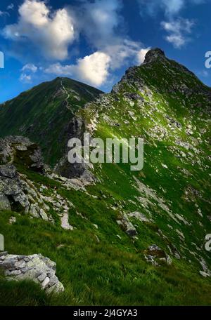 nature paysage fond montagne crête surcultivée avec de l'herbe verte Banque D'Images