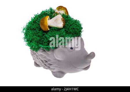 Un vase en forme de hérisson avec une véritable mousse verte, isolé Banque D'Images
