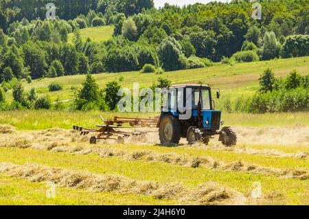 tracteur avec faucheuse pour tondre l'herbe dans les prés . Le tracteur coupe le foin de la luzerne. Préparation de l'alimentation animale pour les lapins, les vaches et les chevaux Banque D'Images