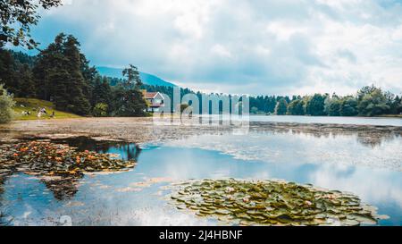 Parc national de Golcuk Bolu Turquie. Maison en bois d'automne sur le lac à l'intérieur de la forêt dans le parc national de Bolu Golcuk, Turquie Banque D'Images