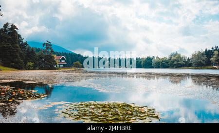 Parc national de Golcuk Bolu Turquie. Maison en bois d'automne sur le lac à l'intérieur de la forêt dans le parc national de Bolu Golcuk, Turquie Banque D'Images