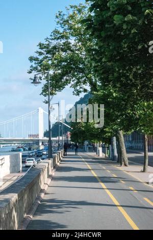 Le pont Elisabeth est un pont suspendu achevé en 1964, qui s'étend sur le Danube et rejoint les villes de Buda et Pest, en Hongrie. Banque D'Images