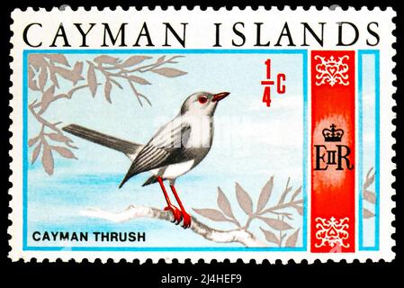 MOSCOU, RUSSIE - 27 MARS 2022: Timbre-poste imprimé aux îles Caïmans montre Cayman Grush (Turdus ravidus), série de scènes locales, vers 1969 Banque D'Images