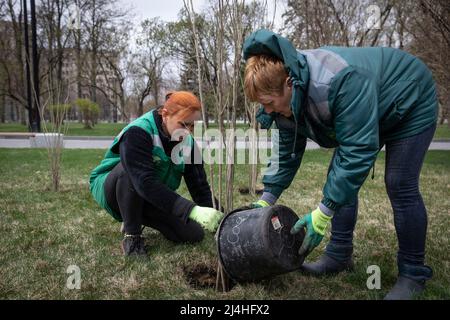 Kharhiv, Ukraine. 14th avril 2022. Deux volontaires ont vu planter des arbres dans un parc de Kharkiv. Alors que la Russie réapprovisionne ses troupes et concentre l'offensive sur la partie orientale de l'Ukraine, Kharkiv, la deuxième plus grande ville d'Ukraine, est maintenant sous la menace constante de bombardements et de frappes aériennes russes. (Photo par Alex Chan TSZ Yuk/SOPA Images/Sipa USA) crédit: SIPA USA/Alay Live News Banque D'Images