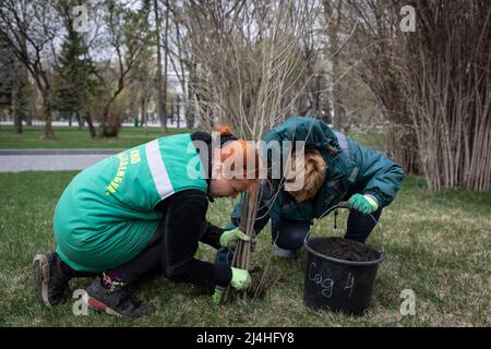 Kharhiv, Ukraine. 14th avril 2022. Deux volontaires ont vu planter des arbres dans un parc de Kharkiv. Alors que la Russie réapprovisionne ses troupes et concentre l'offensive sur la partie orientale de l'Ukraine, Kharkiv, la deuxième plus grande ville d'Ukraine, est maintenant sous la menace constante de bombardements et de frappes aériennes russes. (Photo par Alex Chan TSZ Yuk/SOPA Images/Sipa USA) crédit: SIPA USA/Alay Live News Banque D'Images