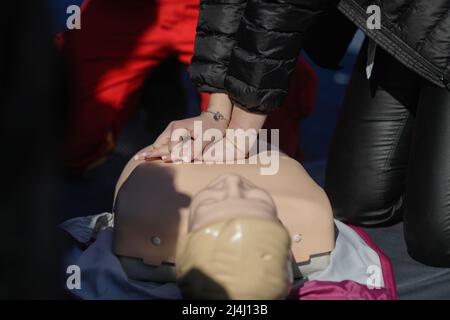 Détails avec les mains d'un travailleur des services médicaux d'urgence qui effectue une réanimation cardiopulmonaire (RCP) sur un mannequin à des fins éducatives. Banque D'Images