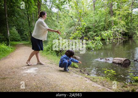 Mère et son petit enfant mignon nourrissant des canards dans l'étang dans un parc Banque D'Images