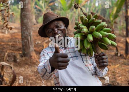 Bon et positif fermier africain sur sa banane plantain fait le pouce avec sa main Banque D'Images
