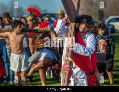 Bensalem, États-Unis. 15th avril 2022. Juan Navarro dépeint Jésus et porte la croix lors de la présentation annuelle des stations de la Croix vendredi 15 avril 2022 à notre Dame de Fatima à Bensalem, Pennsylvanie. Des centaines de paroissiens de Saint-Charles Borromeo et de membres de la communauté hispanophone assistent à l'événement du Vendredi Saint. Dans l'Église catholique, les chrétiens croient que le Christ a été crucifié et enterré le Vendredi Saint, puis est ressuscité des morts le dimanche de Pâques. Crédit : William Thomas Cain/Alay Live News Banque D'Images