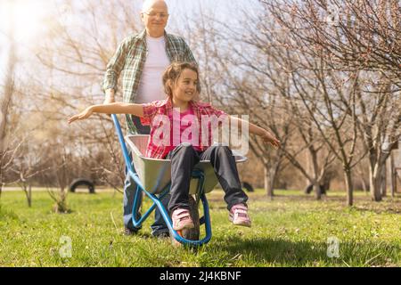 Grand-père donnant la petite-fille à bord d'une brouette dans le jardin Banque D'Images