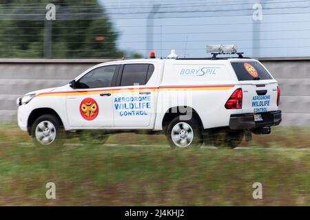 Voiture de contrôle de la faune d'aérodrome. Toyota à l'aéroport. Boryspil, Ukraine - 1 août 2021. Banque D'Images