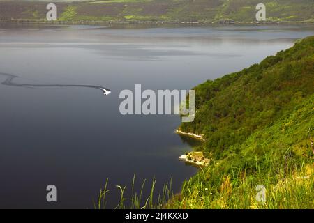 Un scooter des mers flotte le long du canyon d'eau près de la colline. Vue de très longue distance Banque D'Images