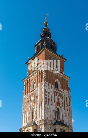 Tour de la mairie (Wieza ratuszowa), place principale, Rynek Glowny, Cracovie, Pologne Banque D'Images