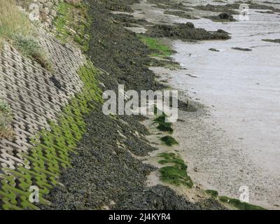 Un modèle de blocs de béton en forme d'os emboîtés forme le mur autour du réservoir de l'usine de Tide à Woodbridge sur la rivière Deben, Suffolk. Banque D'Images