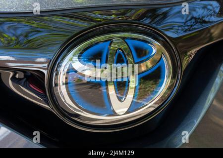 Le logo de la marque Toyota avec une bordure bleue, utilisé pour les modèles de voitures hybrides, sur un modèle Toyota CH-R. 2021 ROYAUME-UNI Banque D'Images