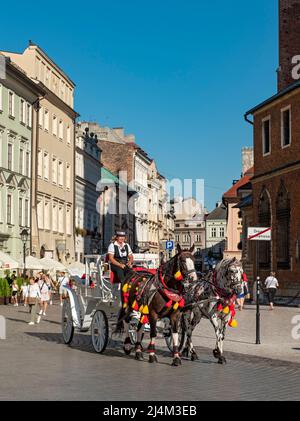 Calèche, Cracovie, Pologne Banque D'Images