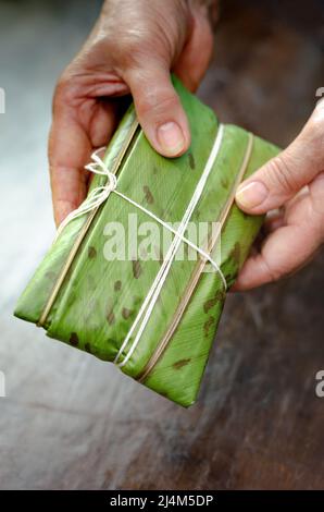 Femme indigène donnant de la nourriture traditionnelle colombienne, fait avec de la pâte de maïs et farci de poulet, porc, côtes de porc, légumes; dans des feuilles de banane, à la vapeur. Banque D'Images