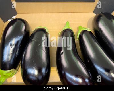 Aubergines exposées dans un magasin. Banque D'Images