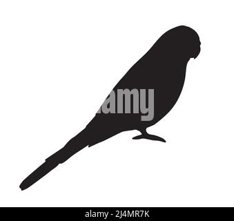Silhouette de perroquet noir vectoriel sur fond blanc Illustration de Vecteur
