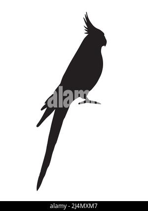 Silhouette de perroquet de la corella cocatière noire vectorielle isolée sur fond blanc Illustration de Vecteur