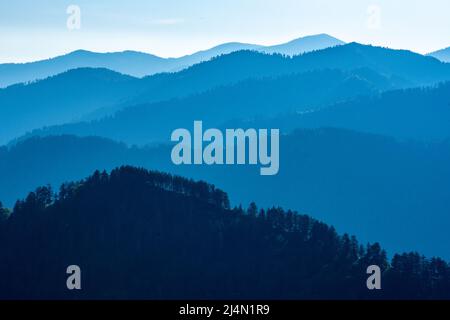 Lumière du matin bleue sur les Ridges remplis d'arbres dans le parc national des Great Smoky Mountains Banque D'Images