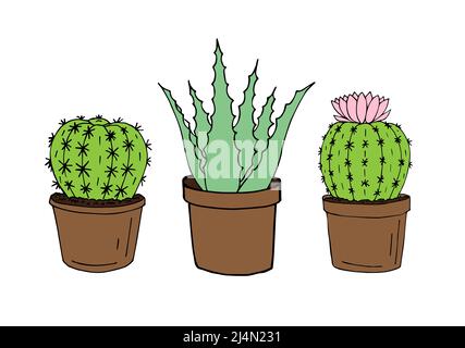 Ensemble d'esquisse de Doodle dessiné à la main de vecteur de cactus de trois couleurs et aloès dans des pots isolés sur fond blanc Illustration de Vecteur