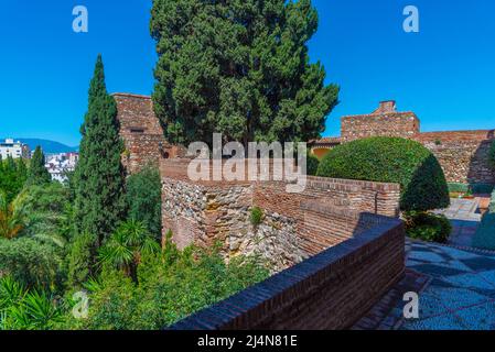 fortification de la forteresse alcazaba à malaga Banque D'Images