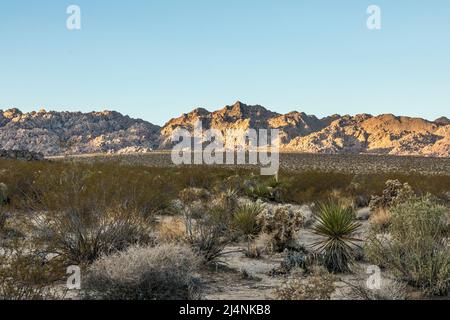 Lever du soleil sur Indian Cove, parc national de Joshua Tree, Californie, États-Unis. Banque D'Images