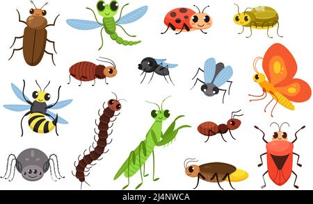 Insectes de dessin animé mignons. Punaises heureuses, mouche souriante et petit mantis vecteur Illustration ensemble Illustration de Vecteur