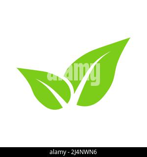 Laisse l'icône de vecteur vert sur fond blanc Illustration de Vecteur