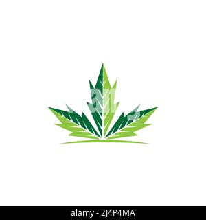 Modèle d'icône du logo du vecteur feuille de cannabis et huile de chanvre créatif pour le CBD Cannabis cannabis chanvre Industrie pharmaceutique médicale et bussines Illustration de Vecteur