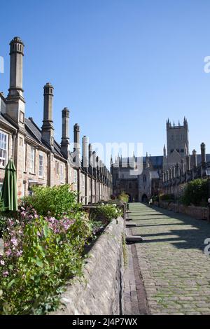 Maisons sur Vicar's Close et la cathédrale de Wells dans Somerset au Royaume-Uni Banque D'Images