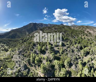 Vue sur les contreforts de la sierra blanca dans la municipalité de Marbella, Espagne Banque D'Images