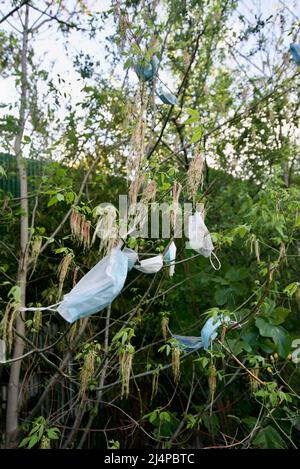 Des dizaines de masques de protection individuelle provenant de la pandémie de Covid-19/coronavirus pendent dans les arbres et les buissons, car les déchets de covid génèrent de la litière. Pollution et covid. Banque D'Images