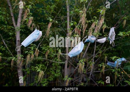 Des dizaines de masques de protection individuelle provenant de la pandémie de Covid-19/coronavirus pendent dans les arbres et les buissons, car les déchets de covid génèrent de la litière. Pollution et covid. Banque D'Images