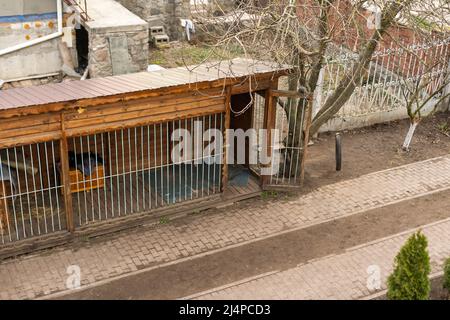 volière pour chiens, une grande parcelle avec une maison pour les huskies, sur la rue dans la cour. Banque D'Images